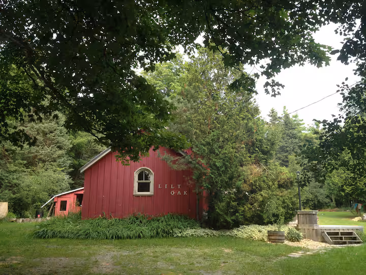 Lily Oak School House