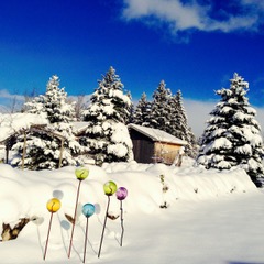 2 apartment house for rent